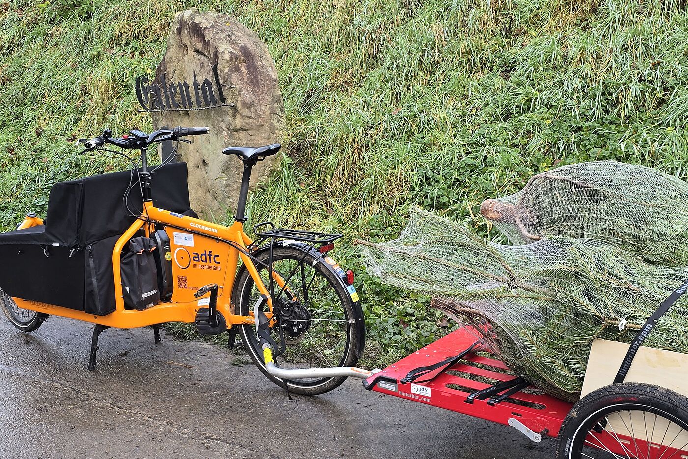 Weihnachtsbaum-Lieferung