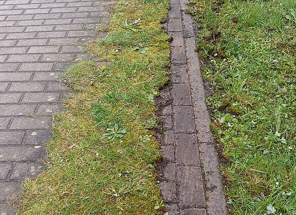Unbekannte buddeln Wege an der Hochdahler Straße aus
