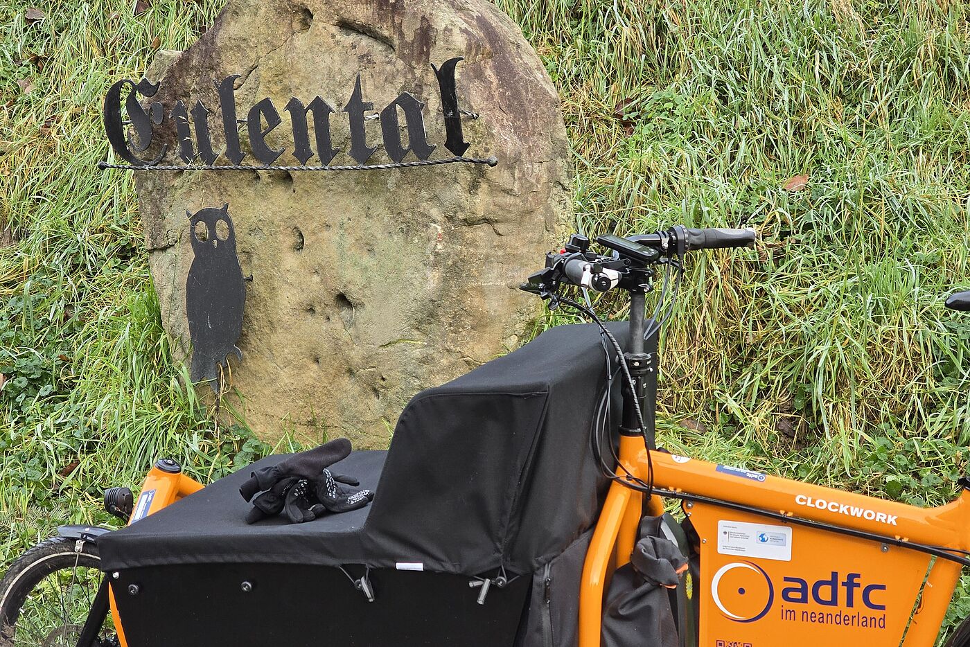 Weihnachtsbaum-Lieferung