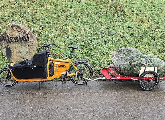 Weihnachtsbaum-Lieferung