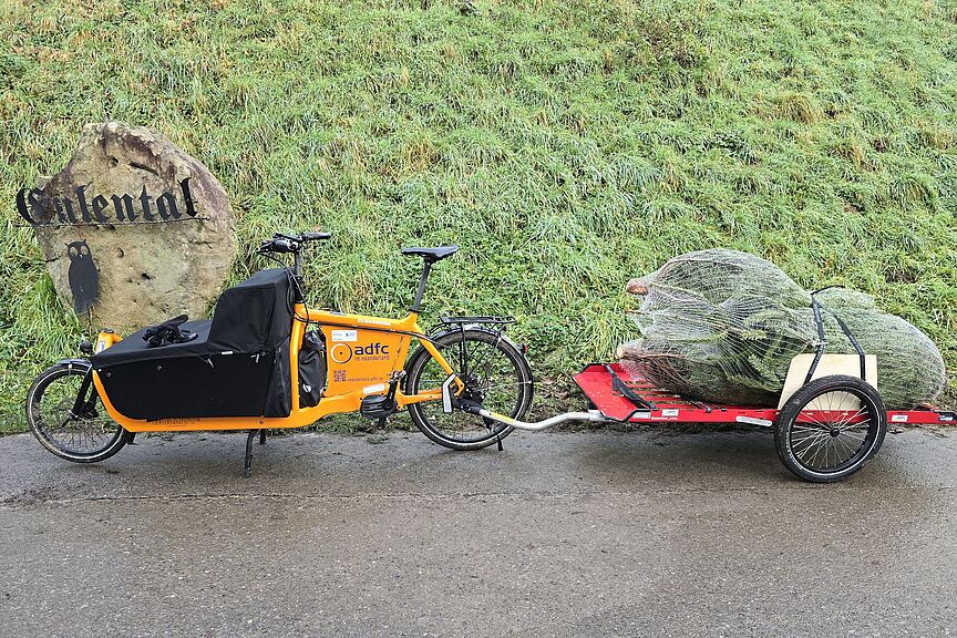 Weihnachtsbaum-Lieferung Weihnachtsbaum-Lieferung